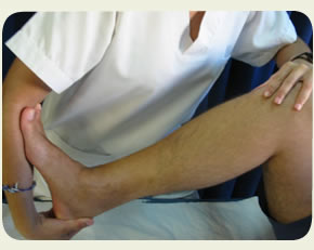 Fisioterapia Fisioterapia